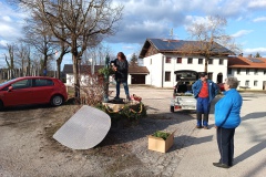 IMG_20260327_164926_517