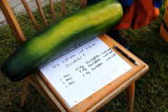 2016-09-23_Kartoffelfeuer_kks_DSCF8939