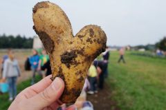 2016-09-23_Kartoffelfeuer_kks_DSCF8954