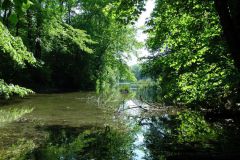 S3890045Milkyweiher