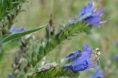 2014-07-12-15-45-14a