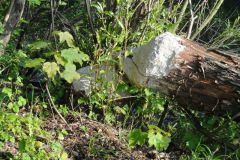 2012-05-19-07-15-59