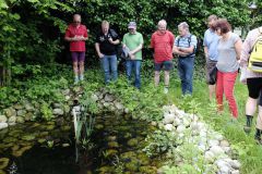 2016-06-04_Wiesmuehl_kks_DSCF0461