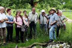2016-06-04_Wiesmuehl_kks_DSCF0469